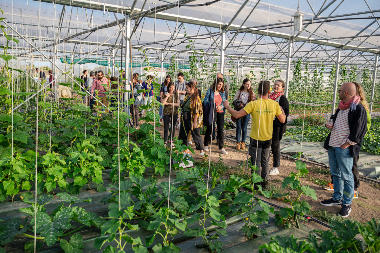 Visite de la ferme L'Alouette Rit